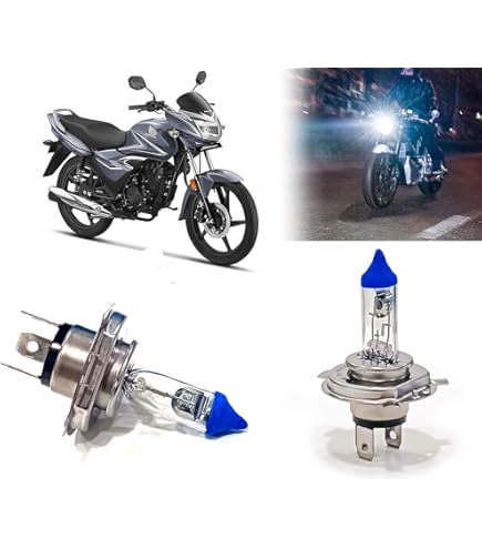 Ayol bodibildingchilar bilan xxx